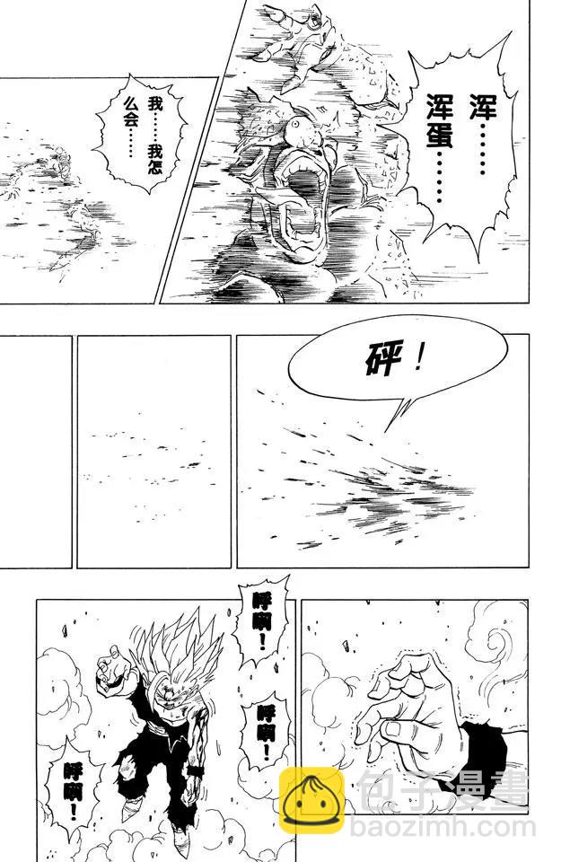 🍔龙珠 第416话 龟派神功对龟派神功的 第12页