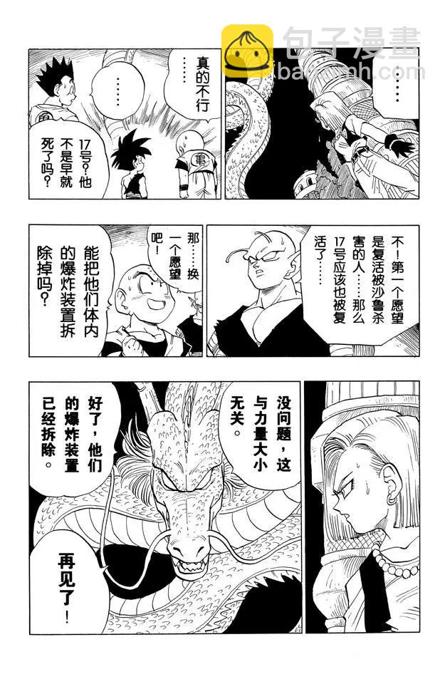 🍔龙珠 第418话 再见，战士们 第3页
