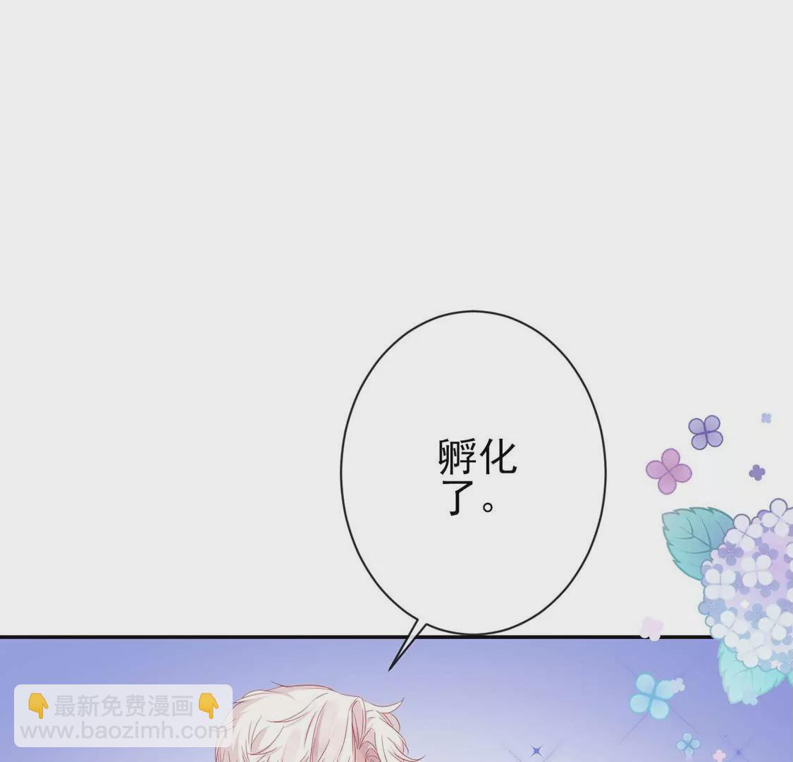 第3话 龙的诞生(1/2)-第4话