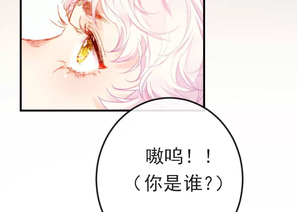 第7话 消失的龙灵(1/3)-第8话