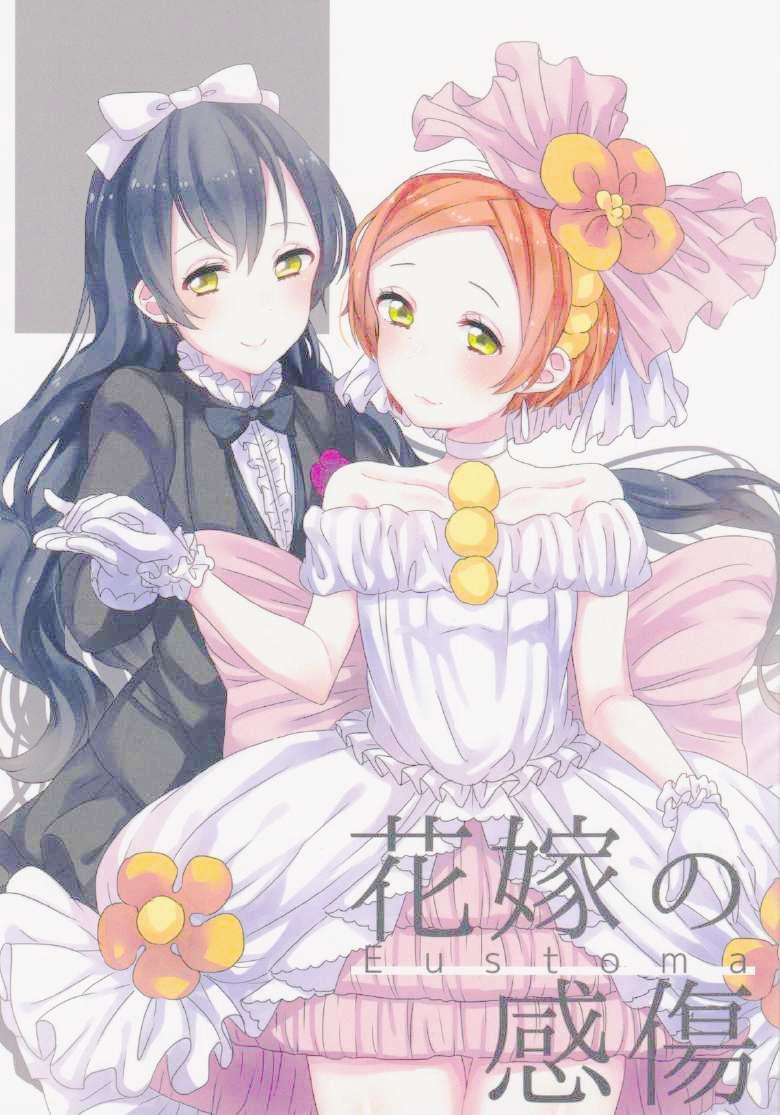 🍔LoveLive 花嫁的感伤 第1页