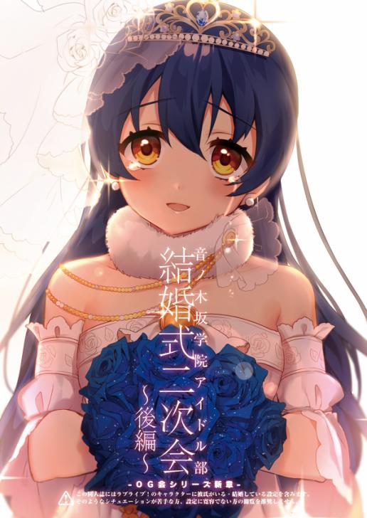 🍔LoveLive 音乃木阪学院偶像部 结婚典礼二次会 后篇 第1页