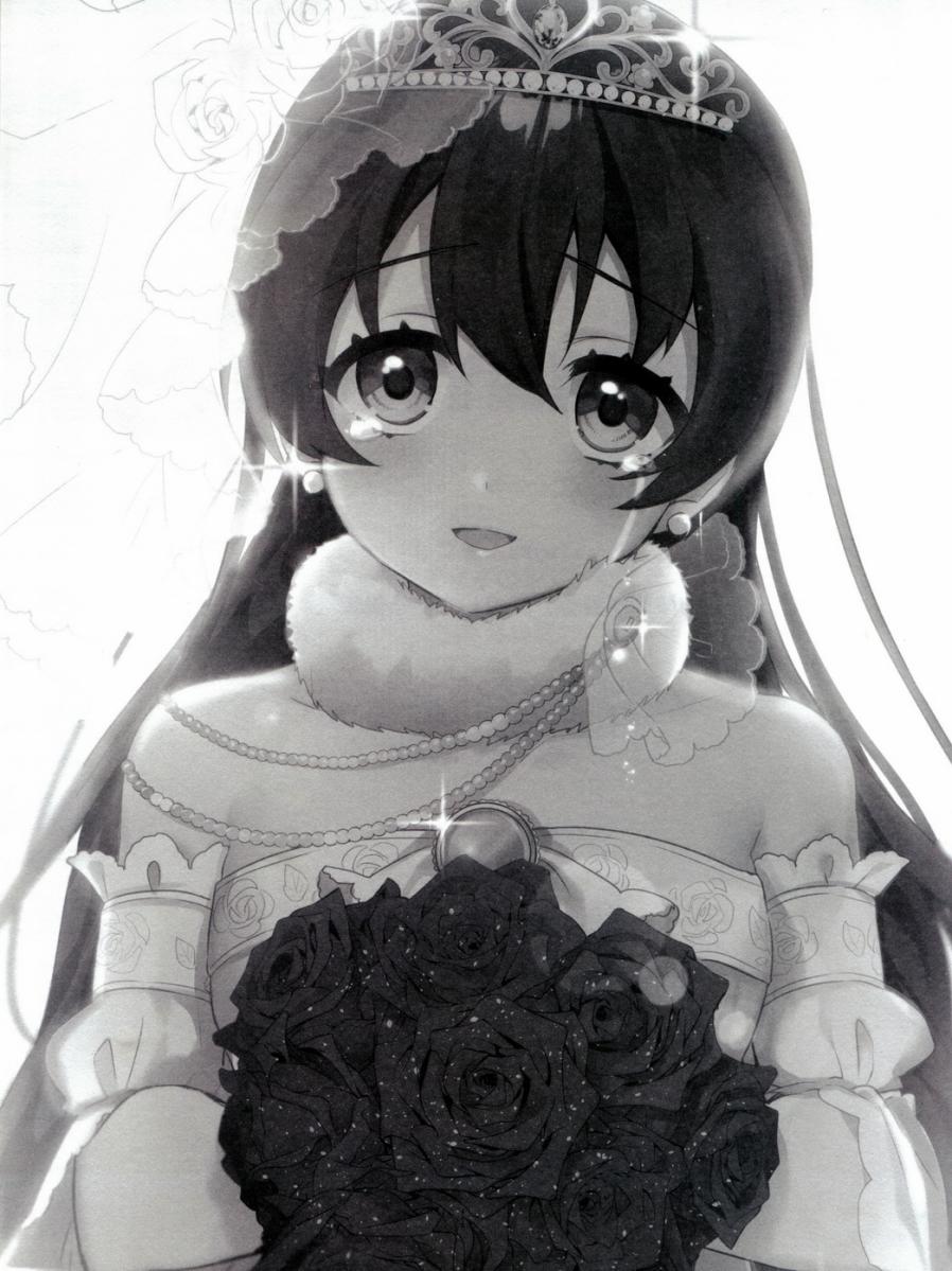 🍔LoveLive 音乃木阪学院偶像部 结婚典礼二次会 后篇 第2页