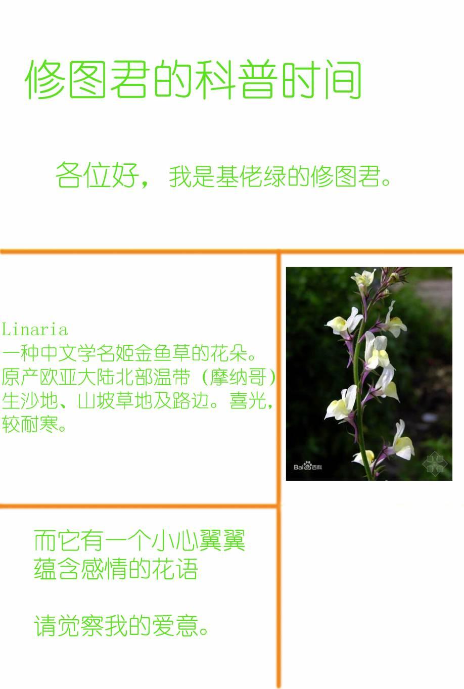 🍔LoveLive 为她献上的Linaria 第40页