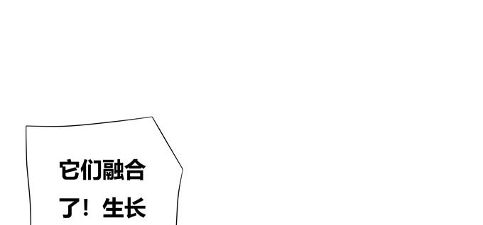 神山之灵(1/2)-第86话