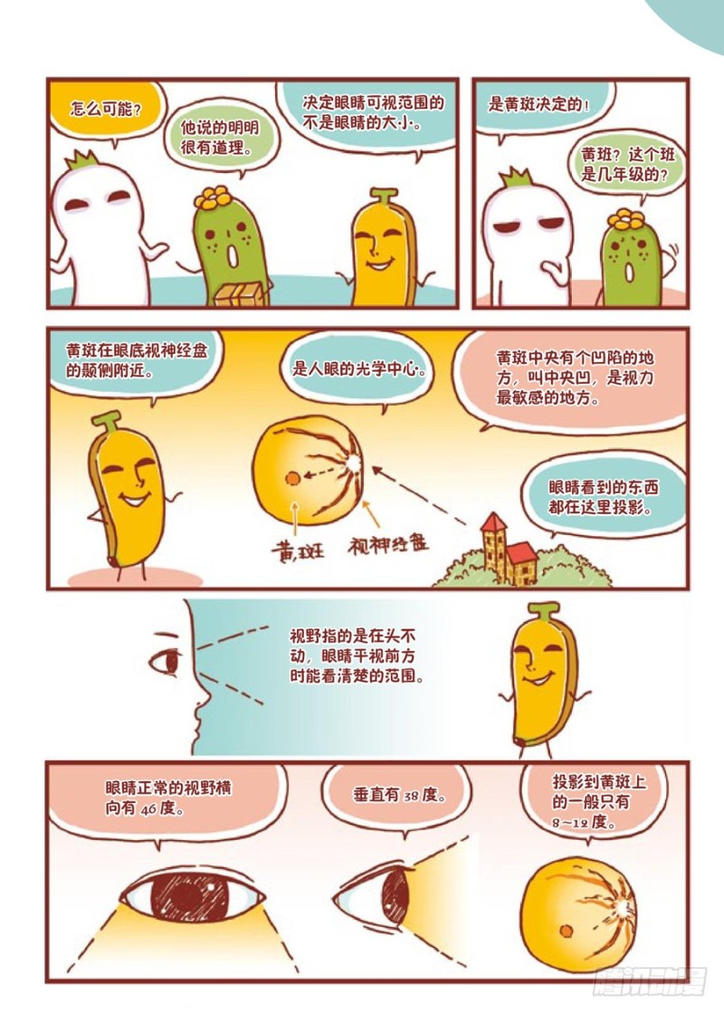 🍔罗罗布爆笑百科 大的小的都一样 第2页
