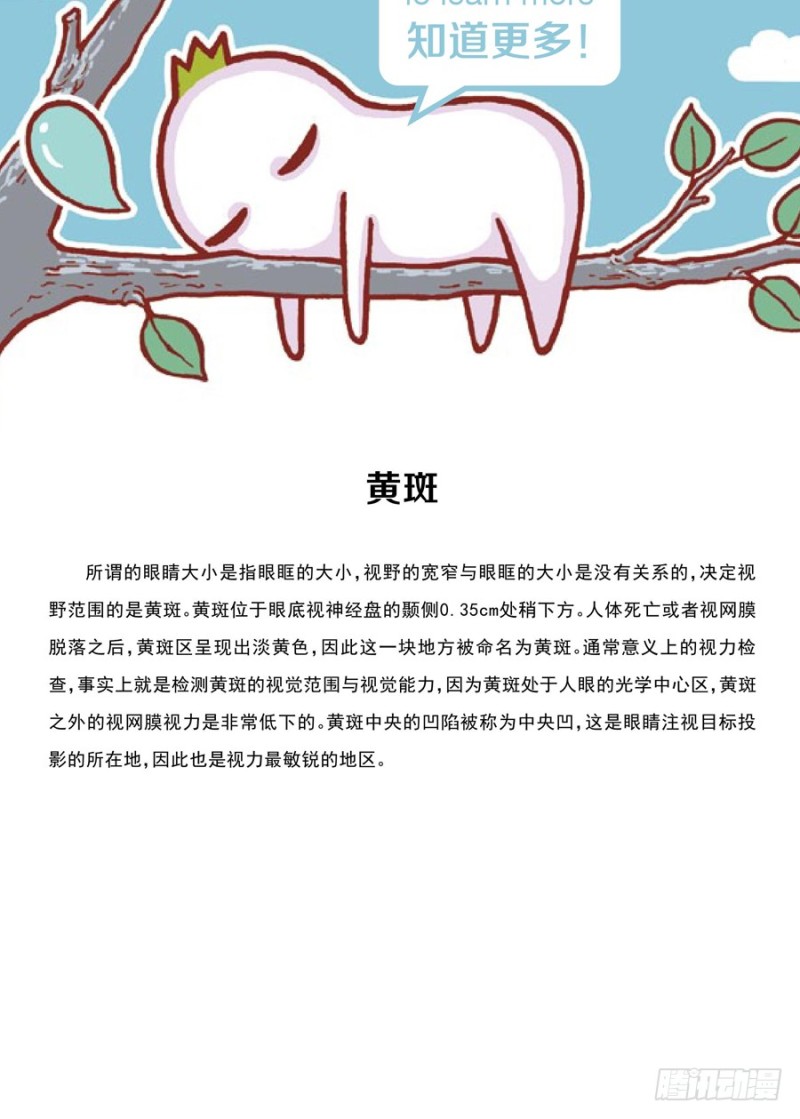 🍔罗罗布爆笑百科 大的小的都一样 第4页