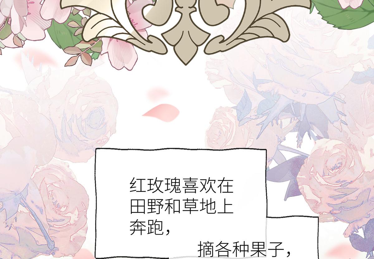 37 白雪与红玫瑰(1/3)-第38话