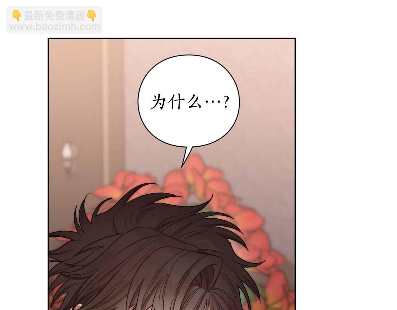 🍔露西亚-攻略公爵计划 第103话 因为他像你 第17页