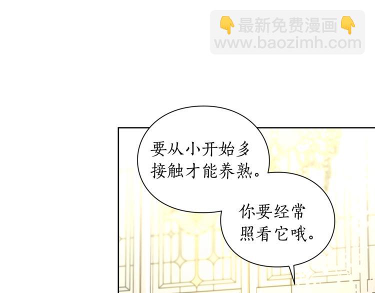 🍔露西亚-攻略公爵计划 第79话 带你见个人 第46页