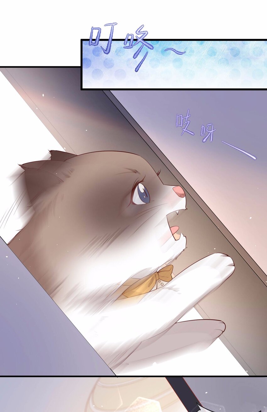 第3话 大姐，请不要妨碍我们拍戏！-第4话
