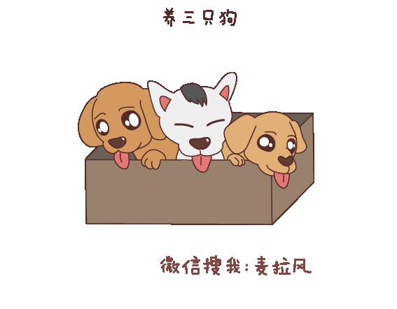 🍟麥拉風-婚後80 第121话 一辈子想和另一半做的事情 第41页