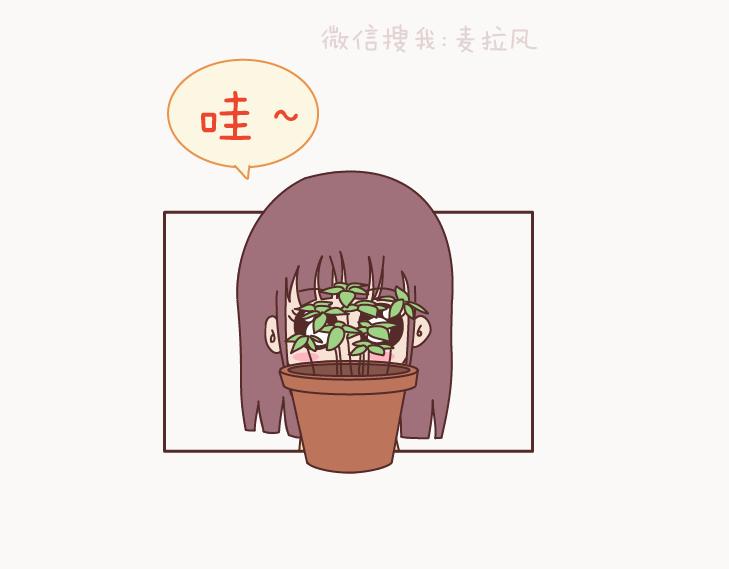 🍟麥拉風-婚後80 第127话 我就喜欢不那么好的你 第5页