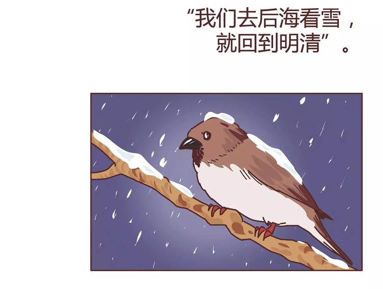 🍟麥拉風-婚後80 第385话 雪：这人是个傻子吧 第4页