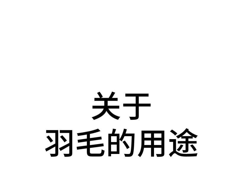第108话 随机掉落的番外（下）(1/2)-第108话