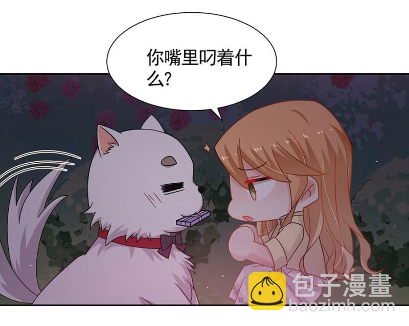 这个大笨蛋！-第74话