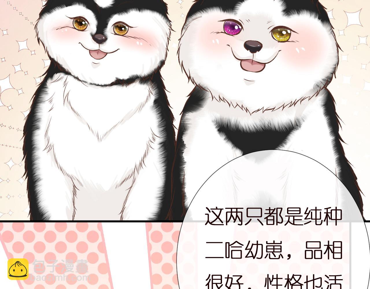 第149 生日礼物(1/3)-第150话