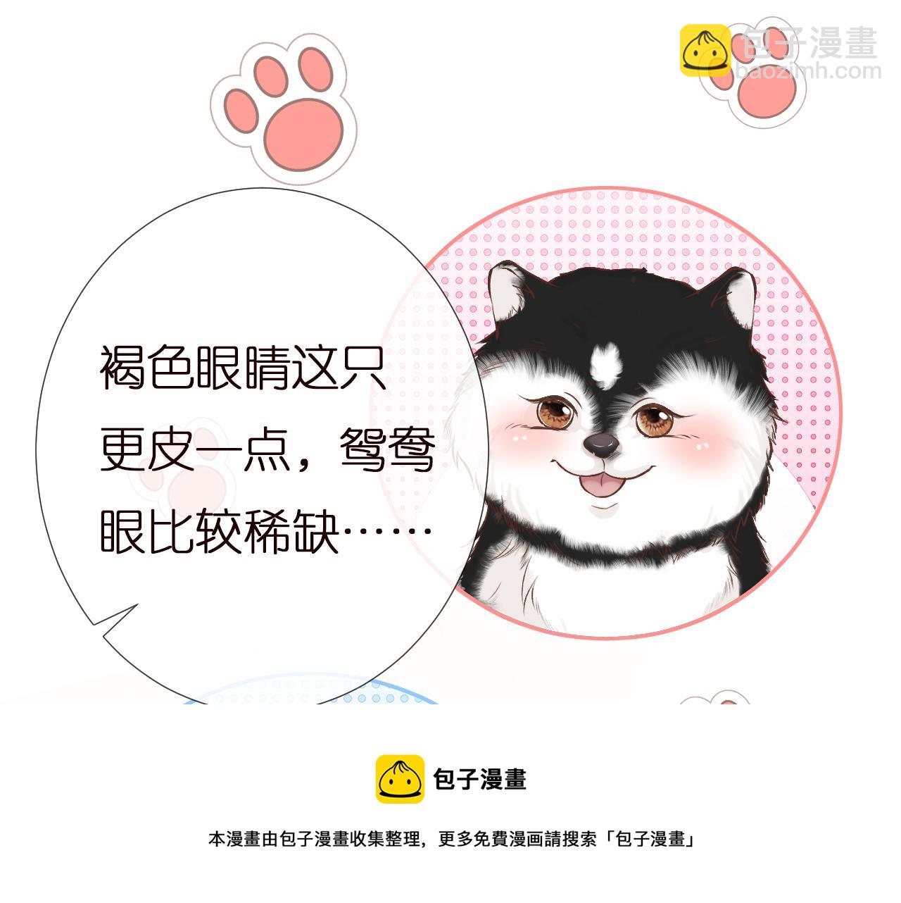 第149 生日礼物(1/3)-第150话