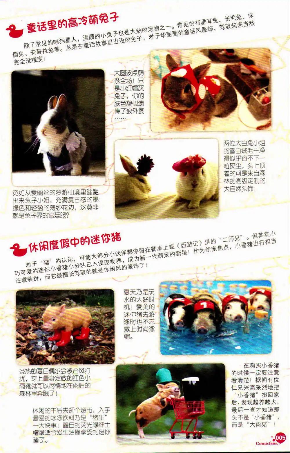 🍟漫友 第369期 全本 第7页