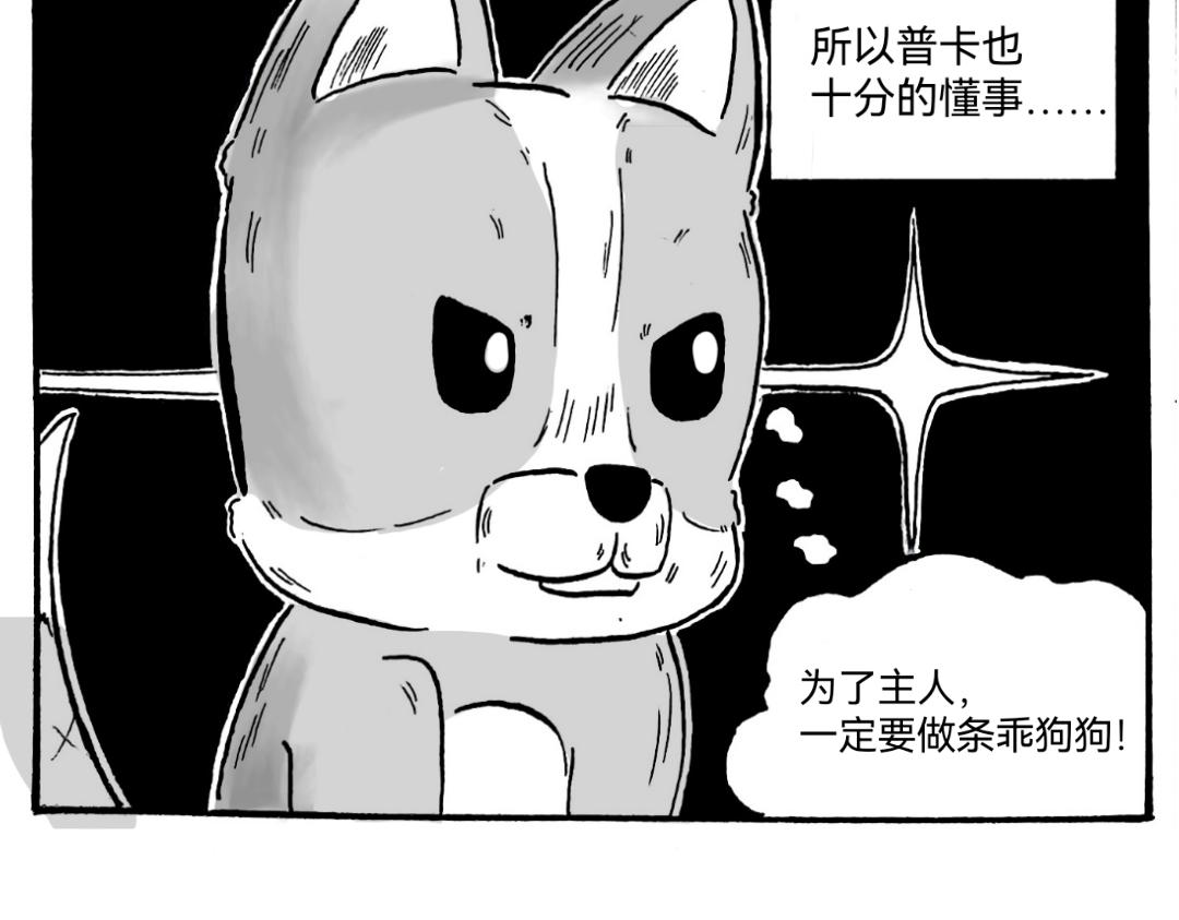 🍟漫约日常 捡个猫猫有大用 第10页
