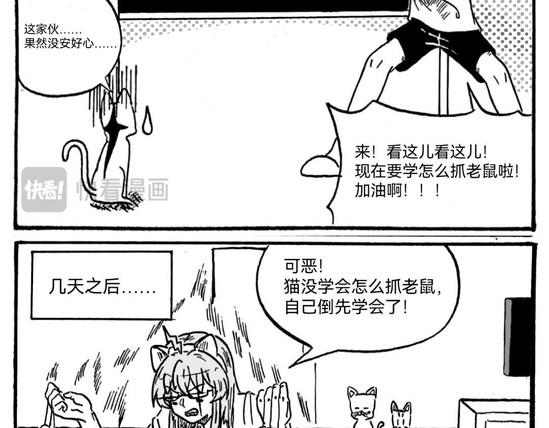 🍟漫约日常 捡个猫猫有大用 第16页