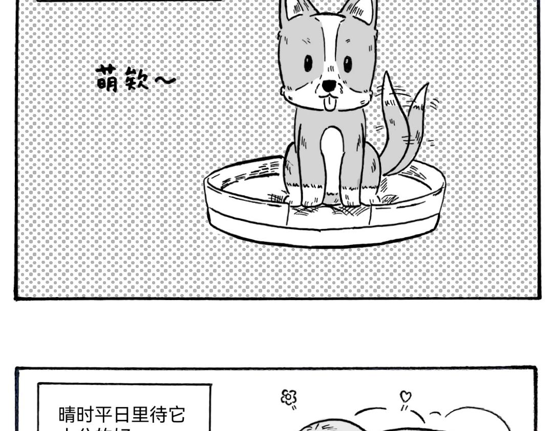 🍟漫约日常 捡个猫猫有大用 第8页