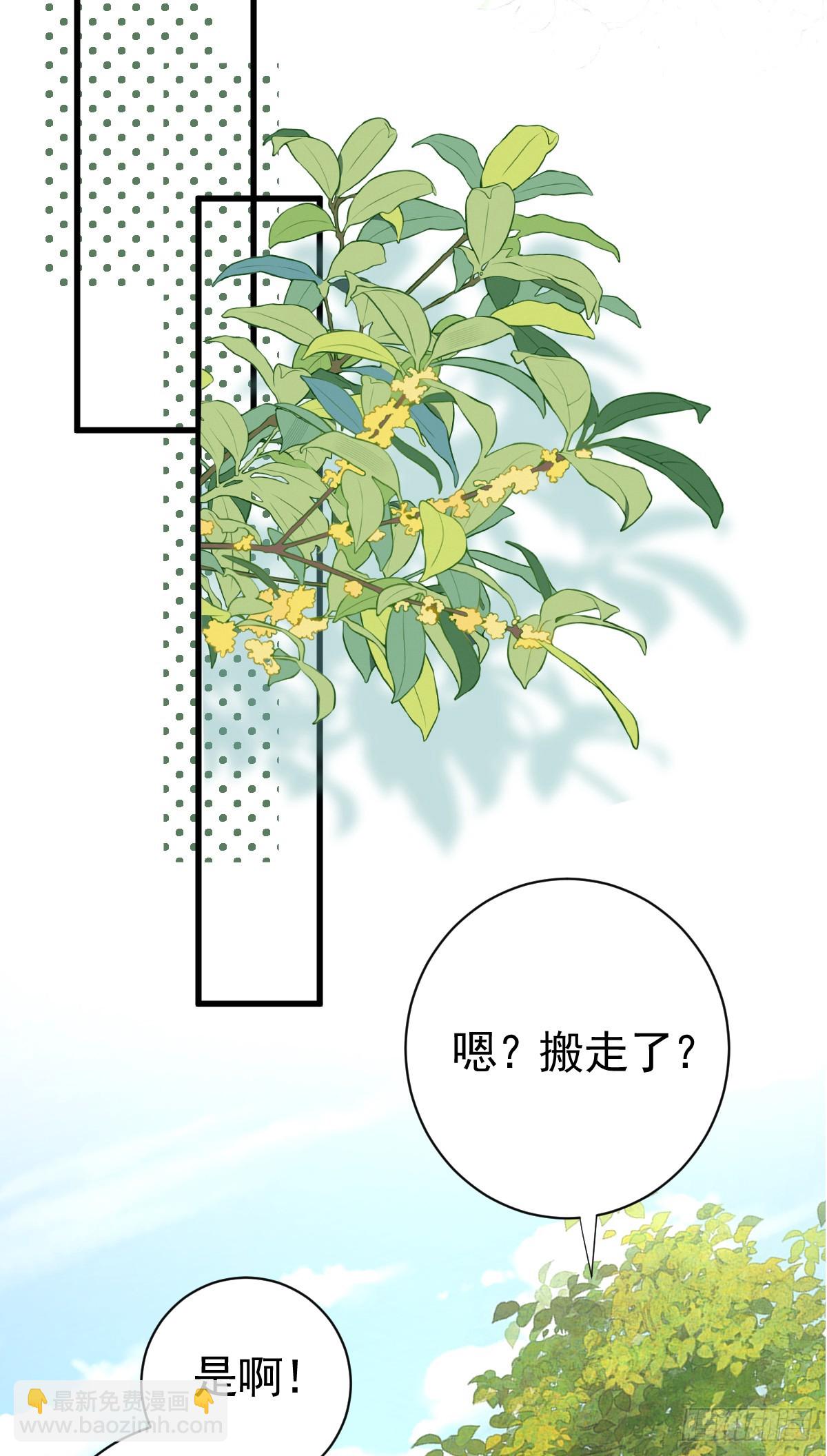 谁的修罗场？(1/2)-第14话