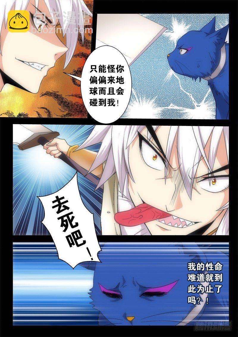 03 猫狗杀（下）-第4话