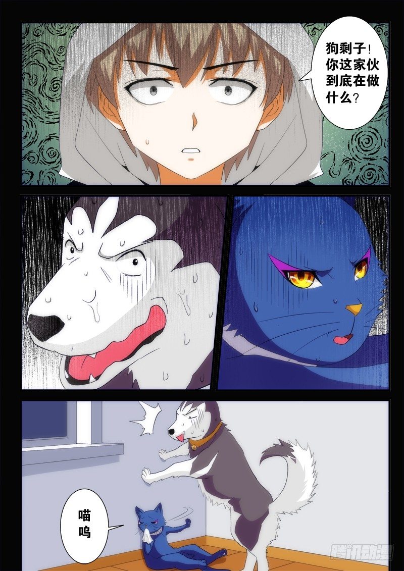 03 猫狗杀（下）-第4话