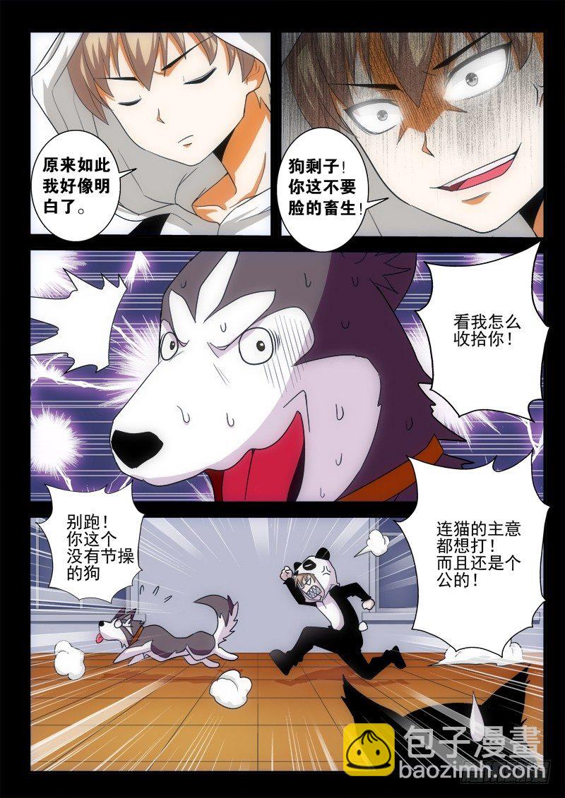 03 猫狗杀（下）-第4话