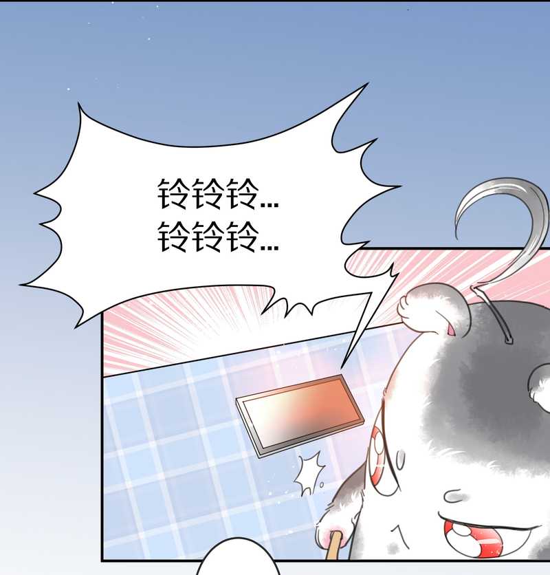 毛球星传说 第2集-第2话