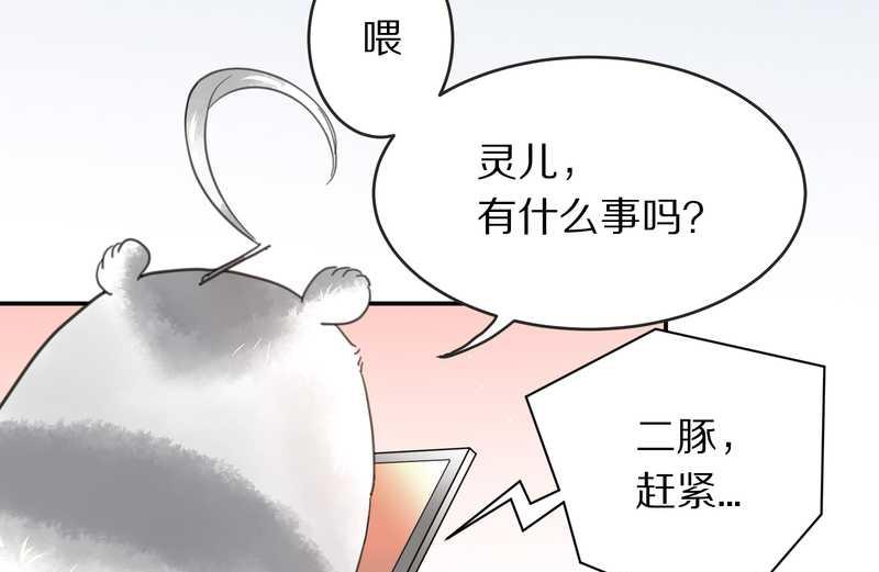 毛球星传说 第2集-第2话