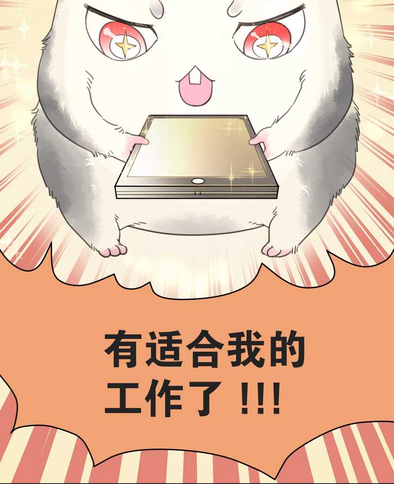 毛球星传说 第2集-第2话
