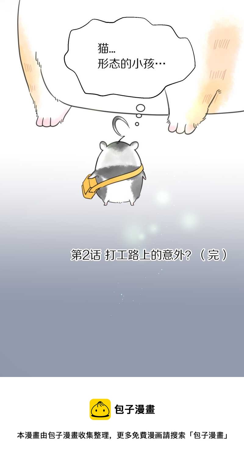 毛球星传说 第2集-第2话