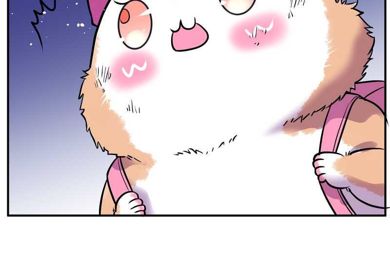 毛球星传说 第102集(1/3)-第102话