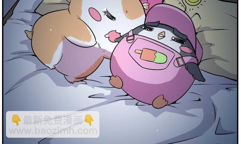 毛球星传说 第102集(1/3)-第102话