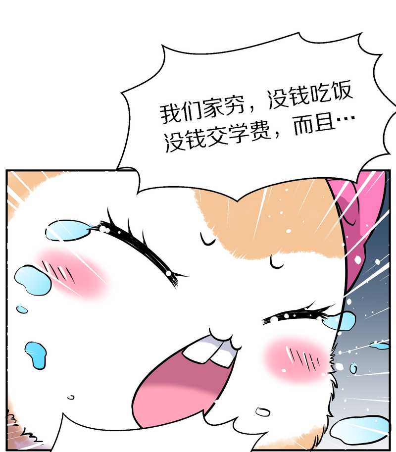 毛球星传说 第102集(1/3)-第102话