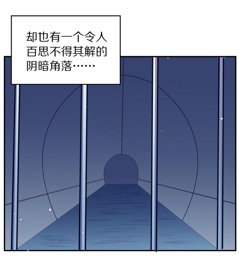 毛球星传说  第104集(1/3)-第104话