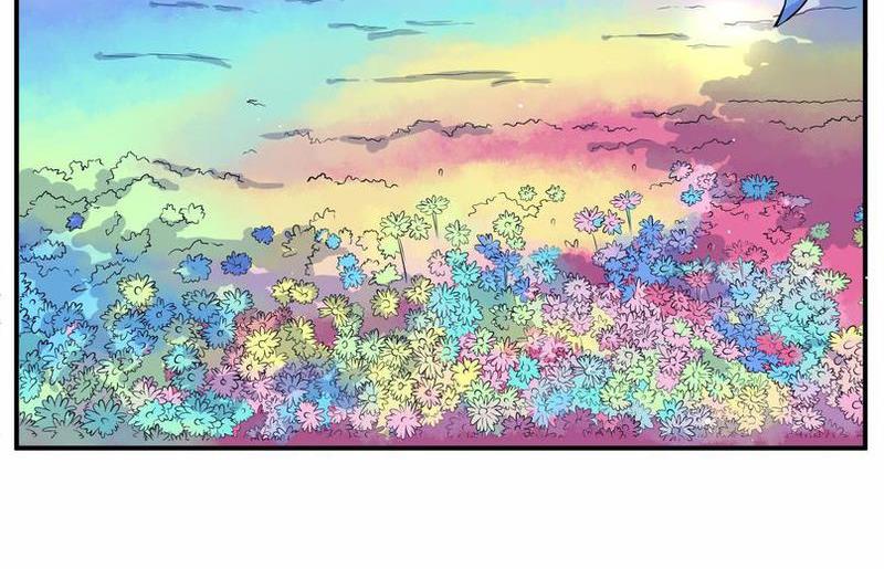 毛球星传说  第104集(1/3)-第104话