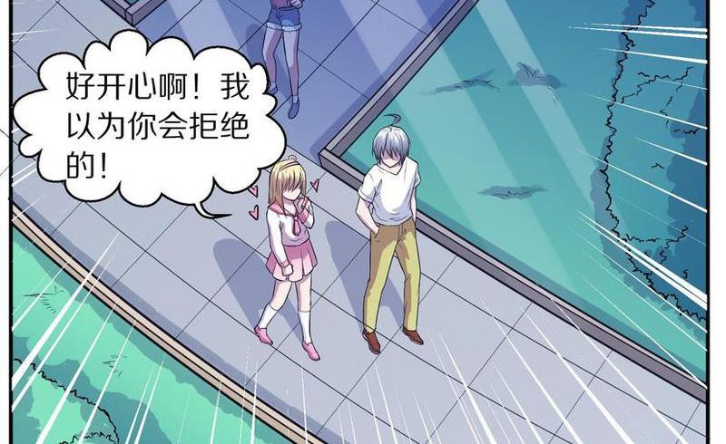毛球星传说  第106集(1/3)-第106话