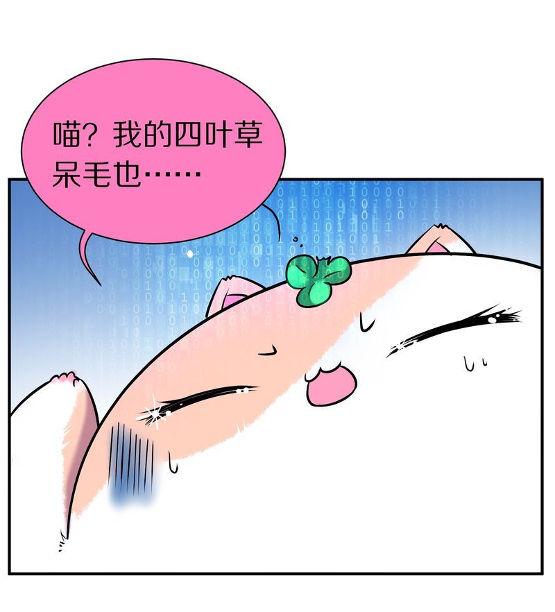毛球星传说  第108集(1/3)-第108话