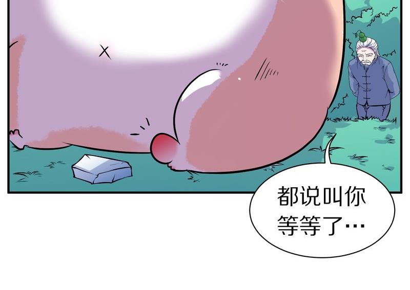 毛球星传说  第108集(1/3)-第108话