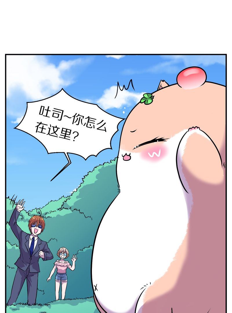 毛球星传说  第108集(1/3)-第108话