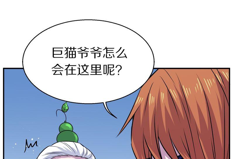 毛球星传说  第108集(1/3)-第108话