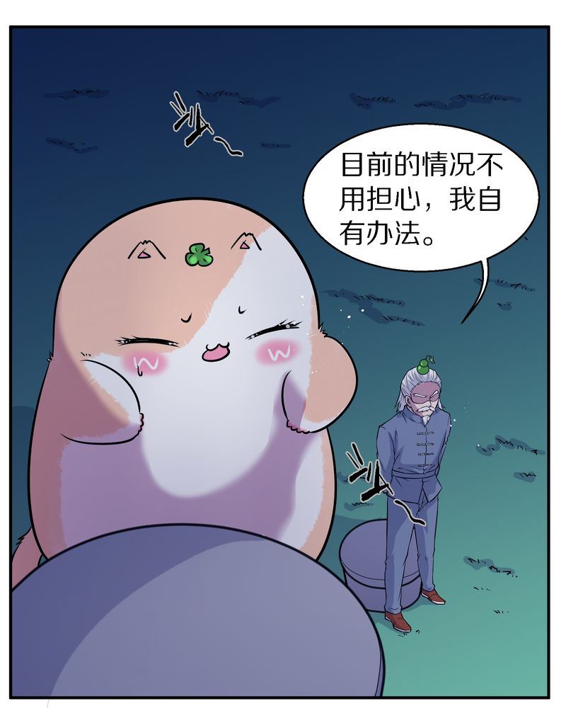 毛球星传说  第108集(1/3)-第108话