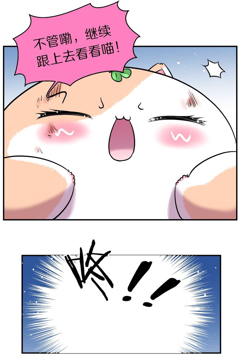 毛球星传说  第110集(1/3)-第110话