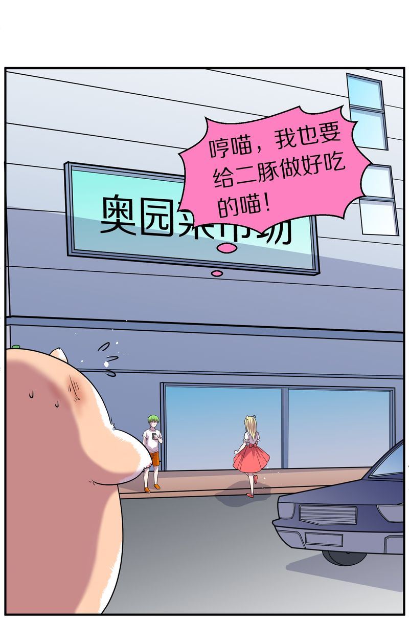 毛球星传说  第110集(1/3)-第110话