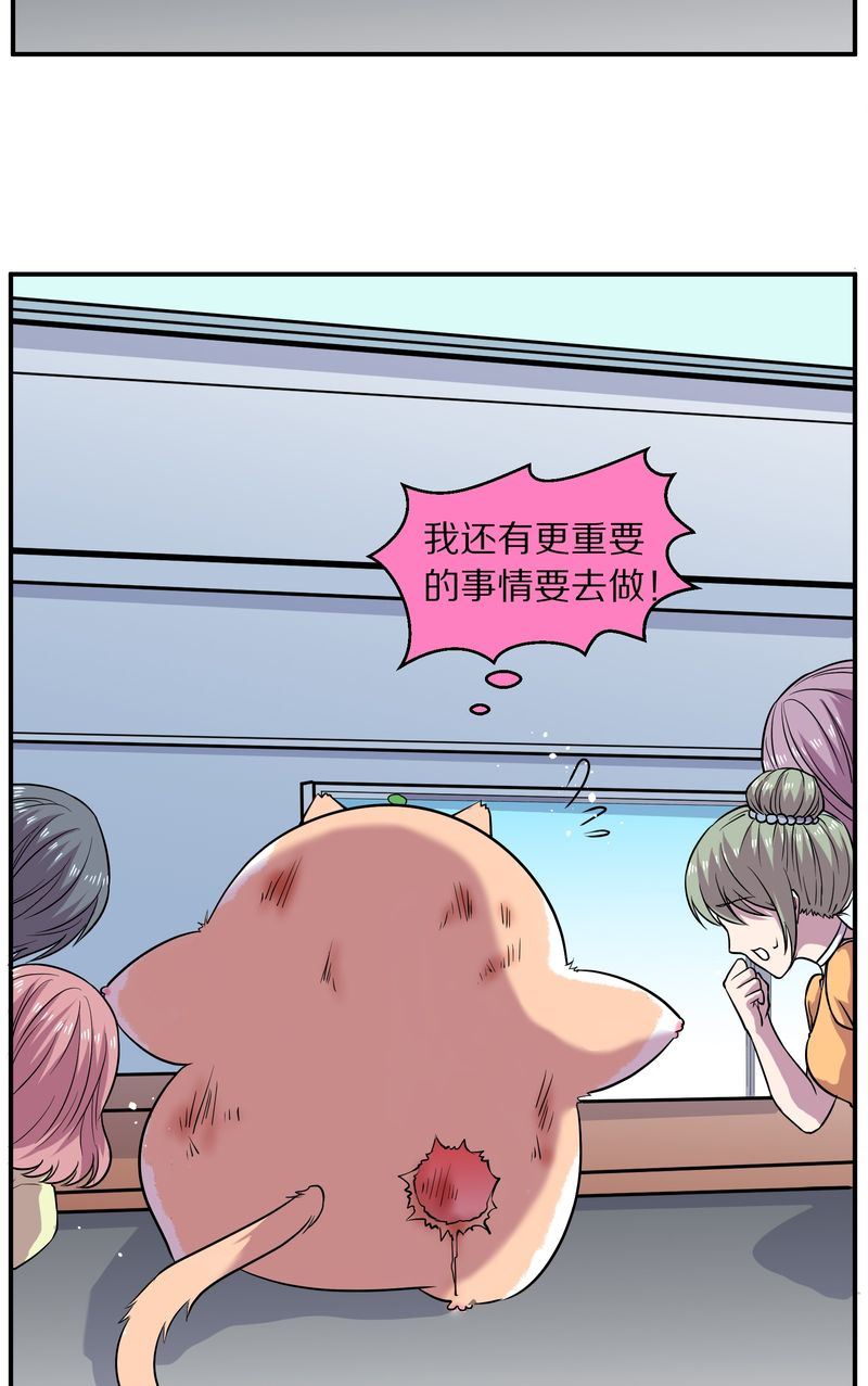 毛球星传说  第110集(1/3)-第110话