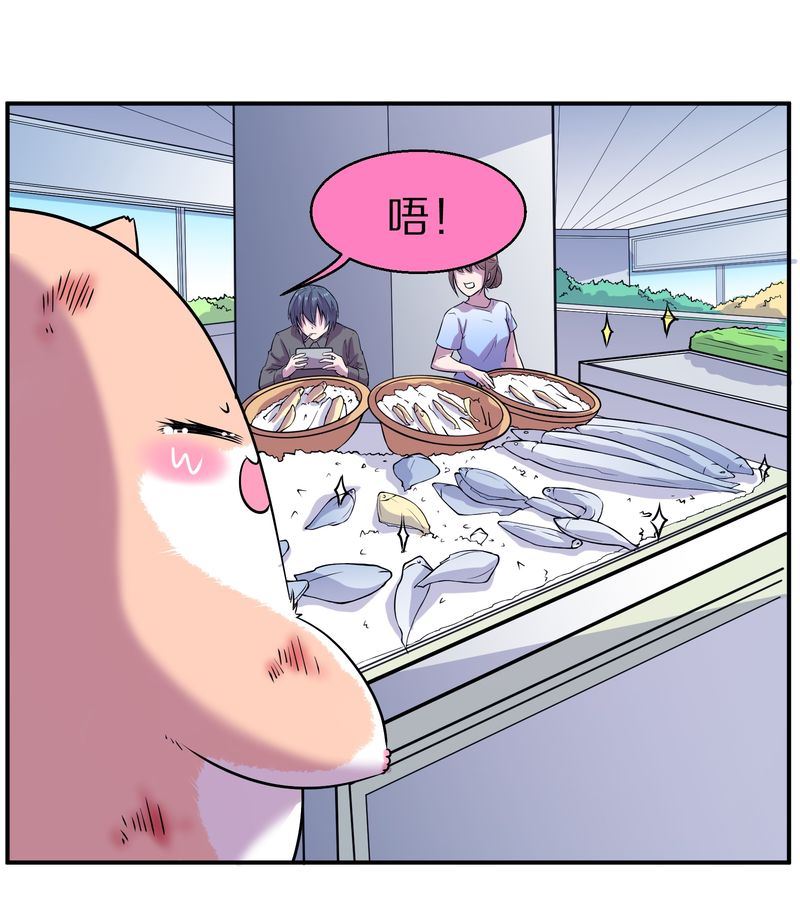 毛球星传说  第110集(1/3)-第110话