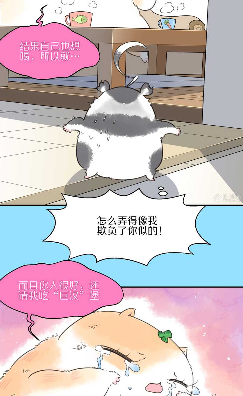 毛球星传说 第12集-第12话